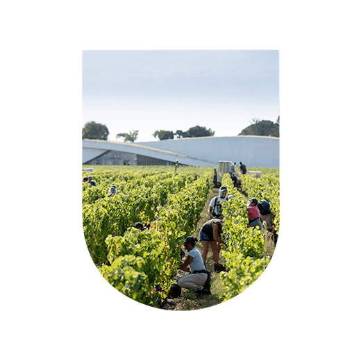 Château Cheval Blanc